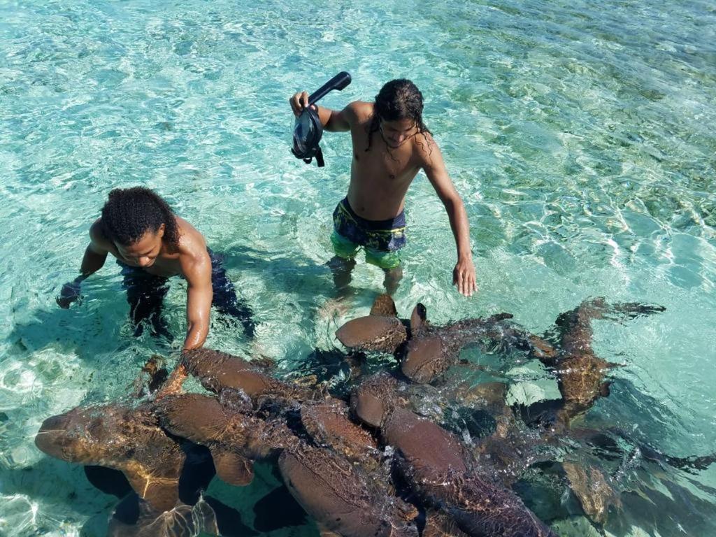 Tropical Paradise Кей-Колкер Экстерьер фото
