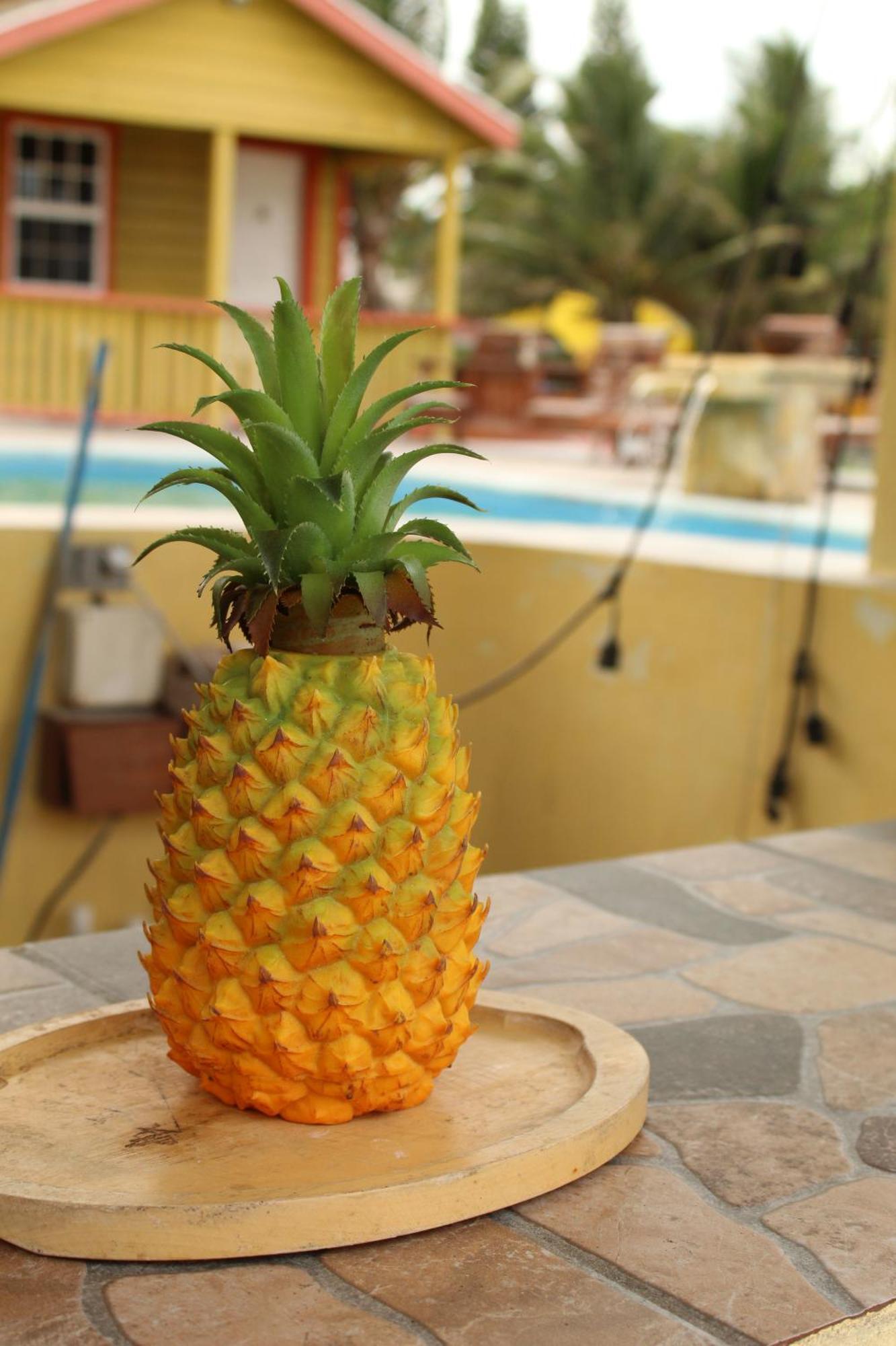 Tropical Paradise Кей-Колкер Экстерьер фото